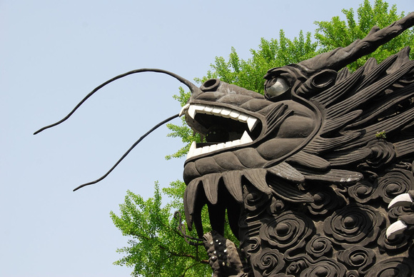 Dragon in Shanghai Gardens