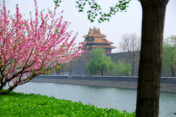Moat at Forbidden City, Beijing